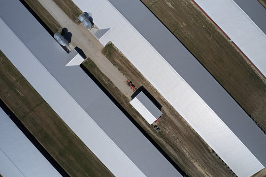 Aerial view of poultry barns