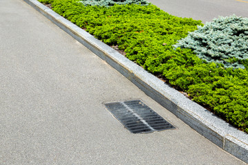 asphalt road with grate drainage system of the sewage hatch near the dividing line with plants.