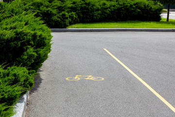 Obraz premium bike path with markings and bicycle symbol in the park with green thujas and lawn in sunny summer days nobody.