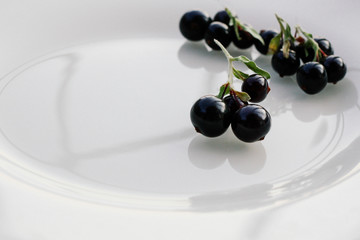 Berries of homemade blackcurrant on a white plate background. Berries of black currant close-up.