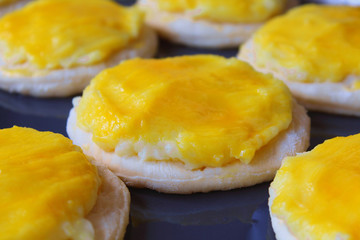 Shanga is a bakery product made of dough. Cheesecake or tortilla with cottage cheese or potatoes. Close-up. Background. Texture.