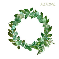 Watercolor hand painted round border with eucalyptus plant, fern leaf and forest wild plants, isolated on white background. Decorative floral wreath