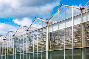 glass greenhouse facade against a blue sky with clouds, building for growing vegetables year round agriculture.