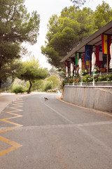 Caminito del Rey
