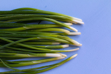 Group of green young onion isolated on blue background. Food concept, with space for text