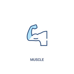 muscle concept 2 colored icon. simple line element illustration. outline blue muscle symbol. can be used for web and mobile ui/ux.