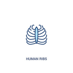 human ribs concept 2 colored icon. simple line element illustration. outline blue human ribs symbol. can be used for web and mobile ui/ux.