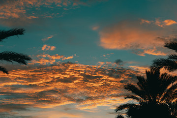 Sunset sky with clouds