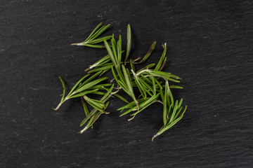 Lot of pieces of fresh evergreen sprig of rosemary flatlay on grey stone