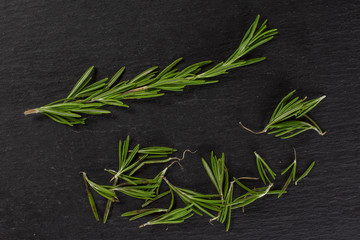One whole lot of pieces of fresh evergreen sprig of rosemary needle leaves flatlay on grey stone