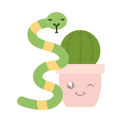 cactu in ceramic pot and snake kawaii style