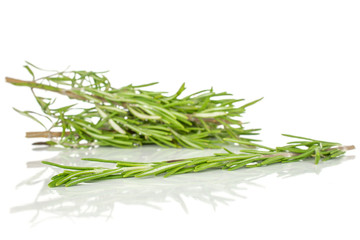 Group of three whole fresh evergreen sprig of rosemary isolated on white background