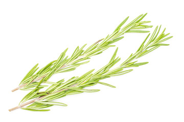 Group of two whole aromatic fresh evergreen sprig of rosemary flatlay isolated on white background
