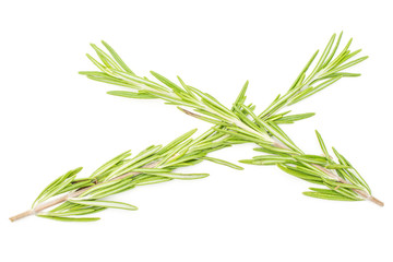 Fototapeta premium Group of two whole fresh evergreen sprig of rosemary flatlay isolated on white background