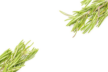 Fototapeta premium Group of two whole leathery fresh evergreen sprig of rosemary flatlay isolated on white background