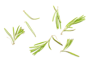 Lot of pieces of aromatic fresh evergreen sprig of rosemary flatlay isolated on white background