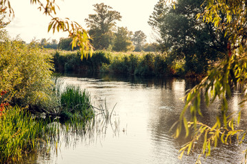 Lake in the rays of the sunset