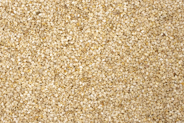 Lot of whole unpeeled sesame seeds flatlay isolated