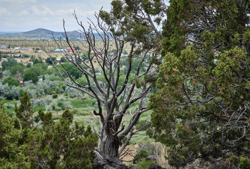 la cieneguilla petroglyphs landscape