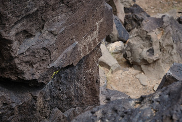 la cieneguilla petroglyphs