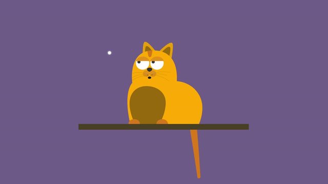 Fat cat following a flying bee. funny cartoon cat animation loop. Lazy cat playing with an insect. funny character design and animation for kids songs and clips. sleepy cat annoyed by a flying insect 