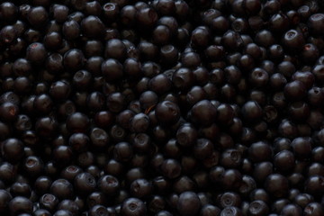 fresh blueberries