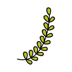 branch with leafs plants garden