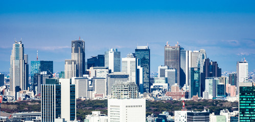 Fototapeta premium 東京 新宿副都心の高層ビル