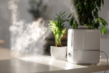 Close up of aroma oil diffuser on the table at home, steam from the air humidifier, houseplant on background. Ultrasonic technology, increase in air humidity indoors, comfortable living conditions. 