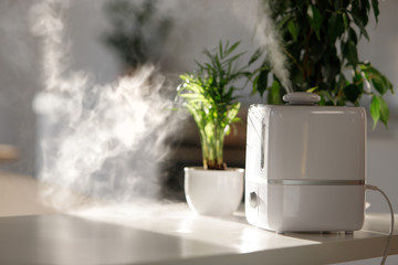 Close up of aroma oil diffuser on the table at home, steam from the air humidifier, houseplant on...