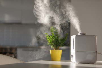Close up of aroma oil diffuser on the table at home, steam from the air humidifier, houseplant on...
