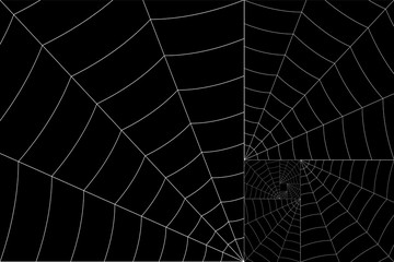 golden spiral white web on a gray background