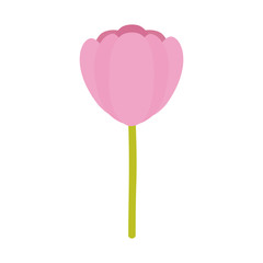 rose flower garden nature icon