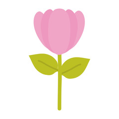 rose flower garden nature icon