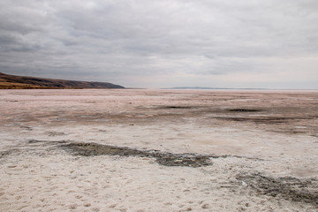 saltlake turkey