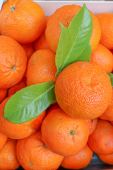 Italie - Pays des oranges