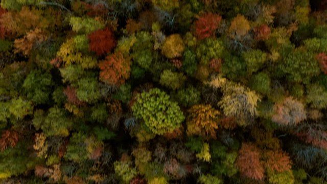 Aerial Forward: Colorful Forest Covered Plain - Dixville Notch, New Hampshire