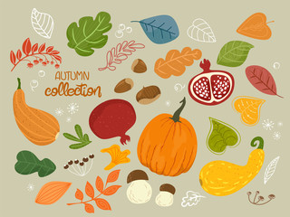 Vector illustration with autumn objects from fruits, berries, vegetables, mushrooms, hazelnuts harvest, leaves, plants, pumpkin, pomegranates. Cute hand-drawn drawings. Vector isolates of autumn 