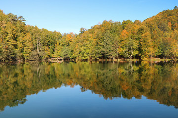 autumn leaves reflecting in water