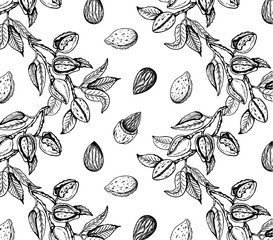 Vector illustration of sketch hand drawn pattern with black and white branches almond nuts, tree. Vintage,organic, vegan, food background. Floral botanical plants drawing wallpaper.Line Art, engraving - 282543747