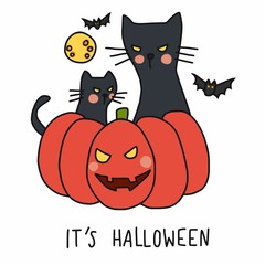 Halloween black cat sit on pumpkin cartoon vector illustration