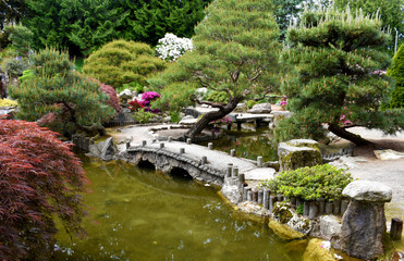 Fototapeta na wymiar А little bridge in Highline SeaTac Botanical Garden, Washington, USA