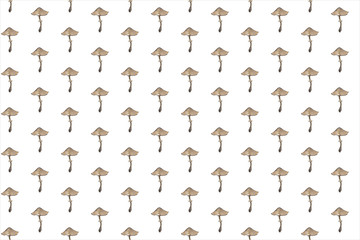 Amanita. Botanical seamless pattern with red mushrooms. Natural elements hand painted with color pencils. Floral watercolor background