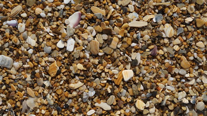 Shells