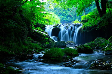 岩手県　夏の滝