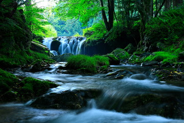 Obraz premium 岩手県 夏の滝