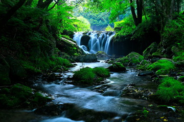 岩手県　夏の滝