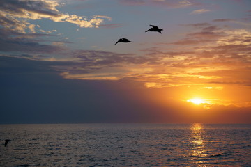 Fototapeta na wymiar sunset at sea