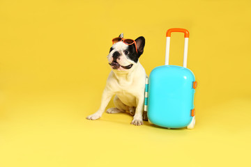 French bulldog with sunglasses and little suitcase on yellow background. Space for text