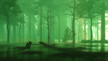 Mysterious forest swamp at foggy night or dusk
